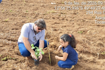 Plantio de 30 mudas